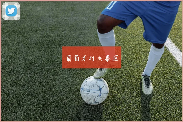 葡萄牙对决泰国