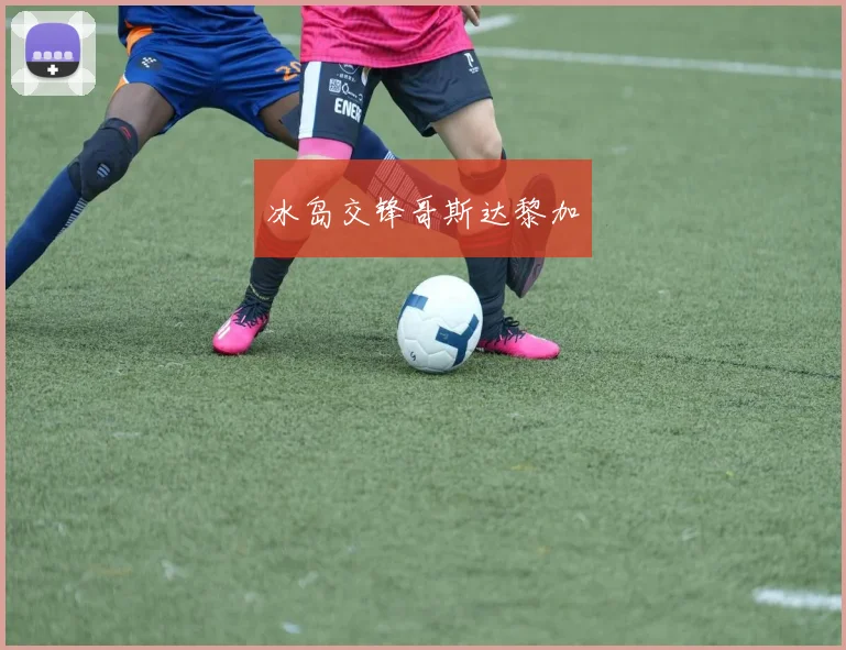 冰岛交锋哥斯达黎加