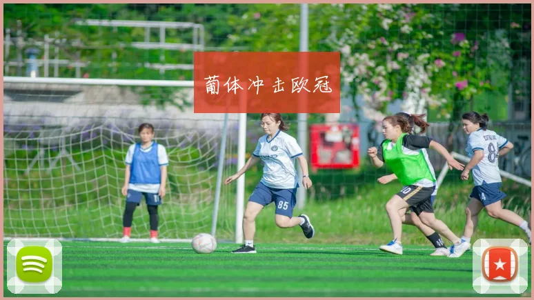 葡体冲击欧冠