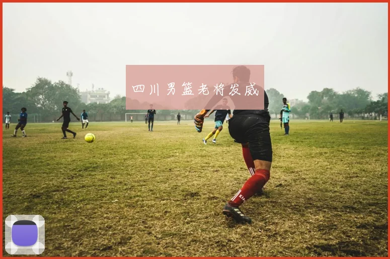 四川男篮老将发威