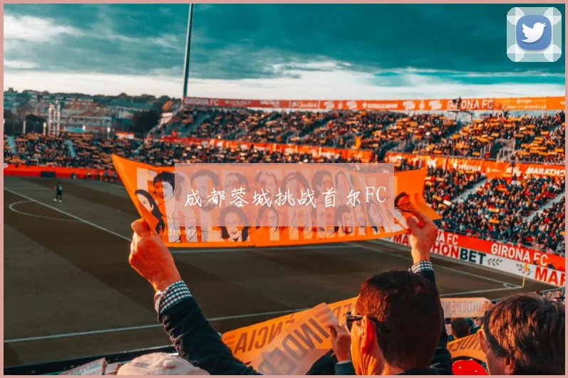 成都蓉城挑战首尔FC