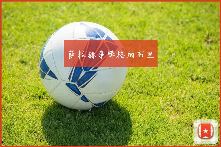 萨拉赫争锋格纳布里
