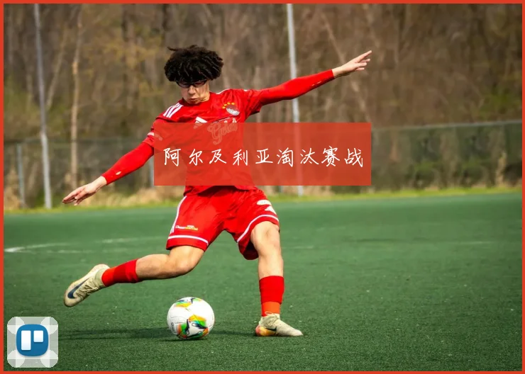 阿尔及利亚淘汰赛战