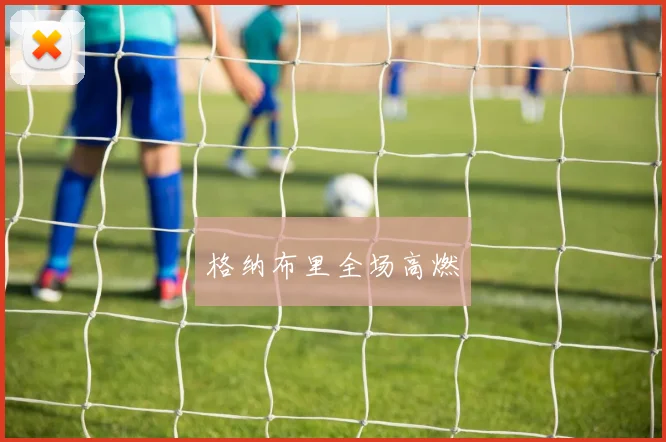 格纳布里全场高燃