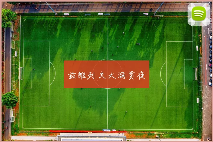 兹维列夫大满贯夜