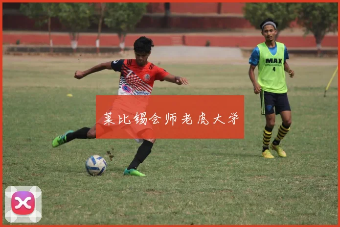 莱比锡会师老虎大学