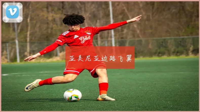 亚美尼亚边路飞翼