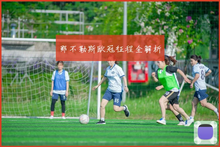 那不勒斯欧冠征程全解析