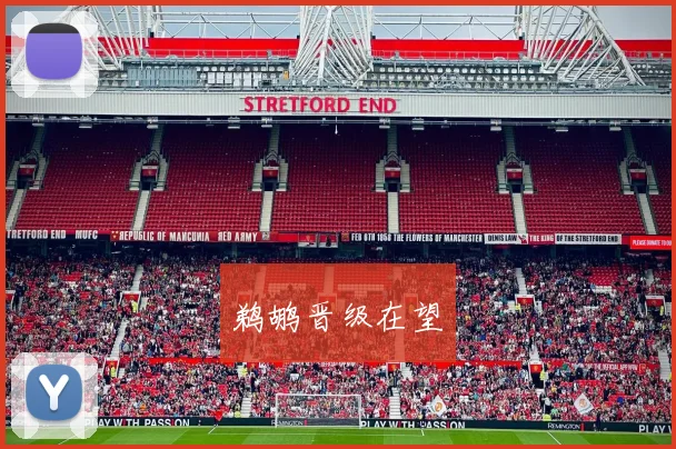鹈鹕晋级在望