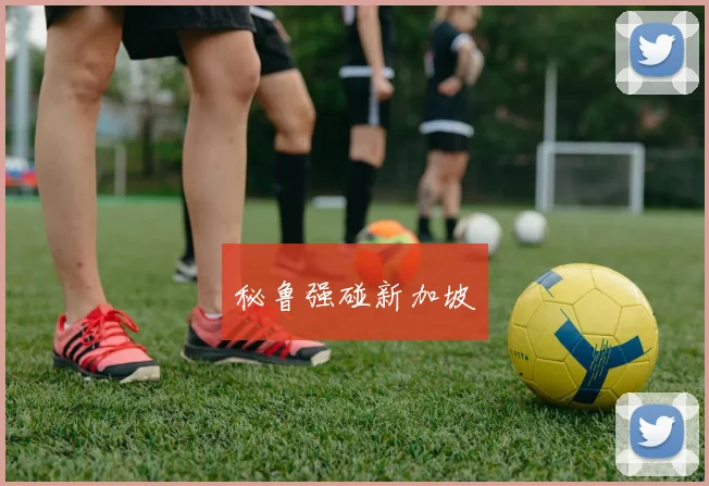 秘鲁强碰新加坡