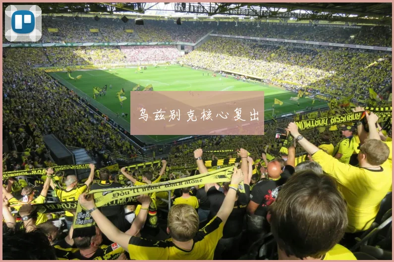 乌兹别克核心复出