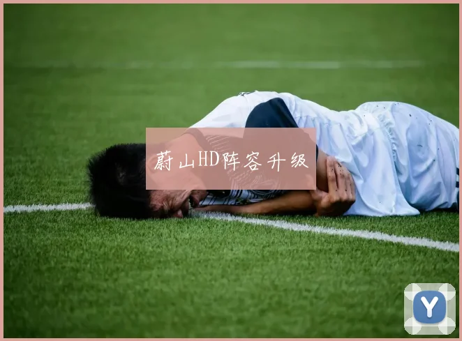 蔚山HD阵容升级