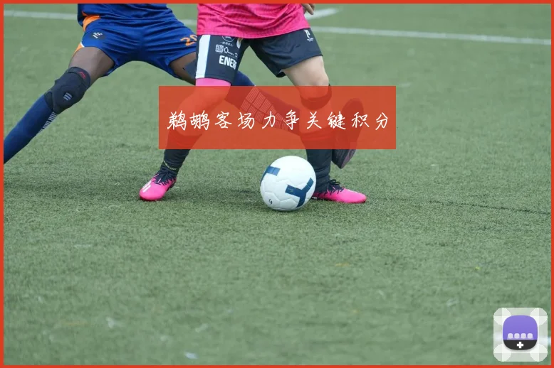 鹈鹕客场力争关键积分