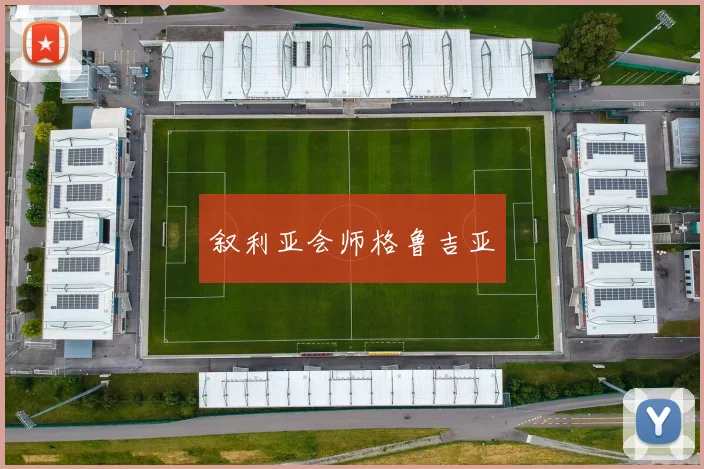 叙利亚会师格鲁吉亚