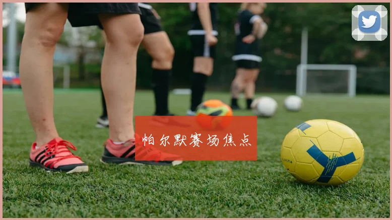 帕尔默赛场焦点