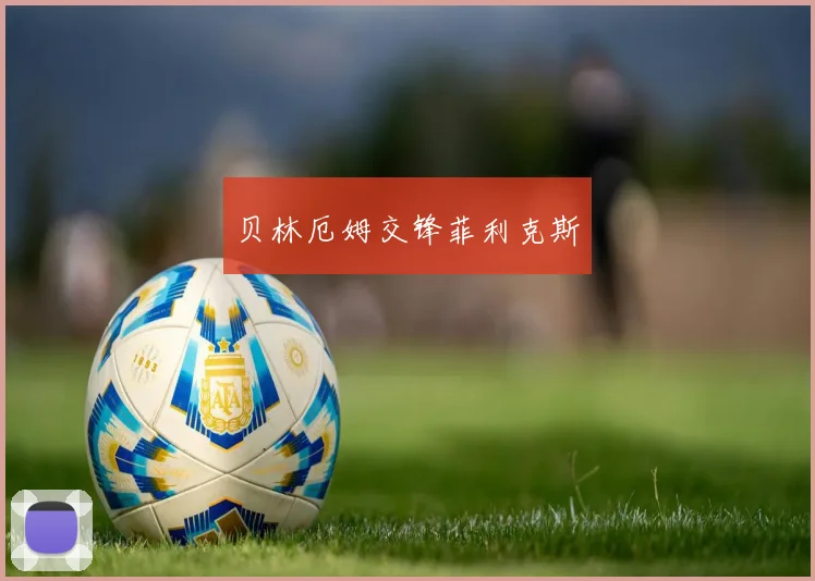 贝林厄姆交锋菲利克斯