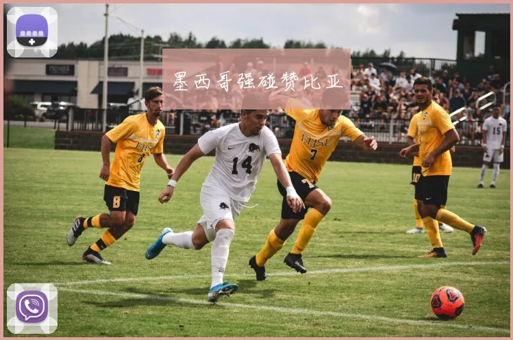墨西哥强碰赞比亚