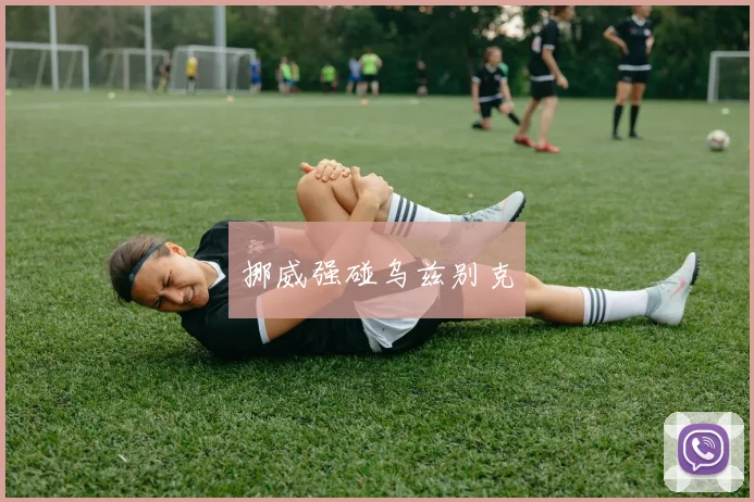 挪威强碰乌兹别克