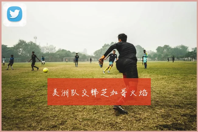 美洲队交锋芝加哥火焰
