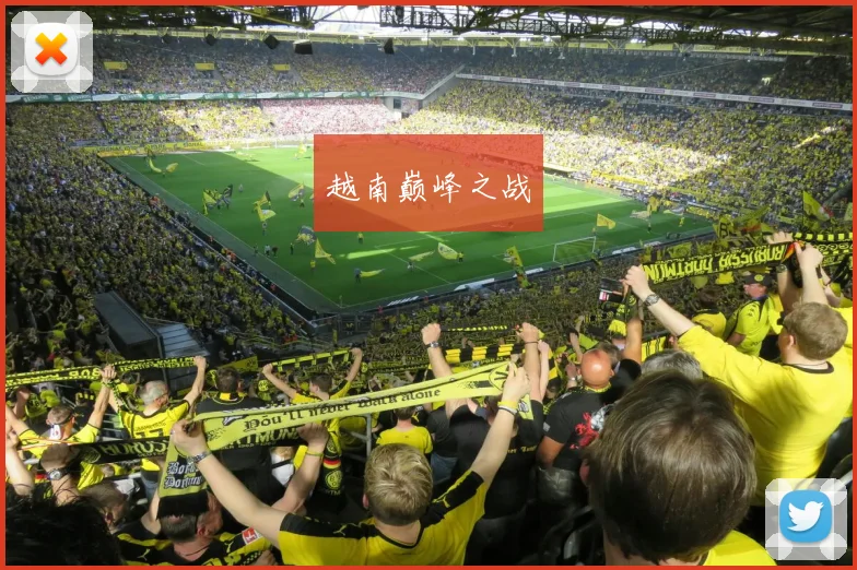 越南巅峰之战