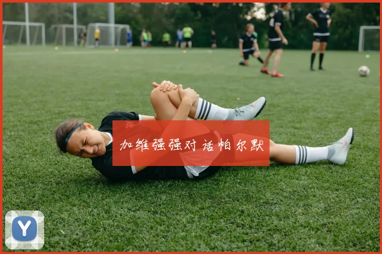 加维强强对话帕尔默