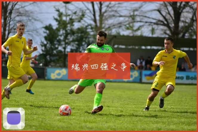 瑞典四强之争