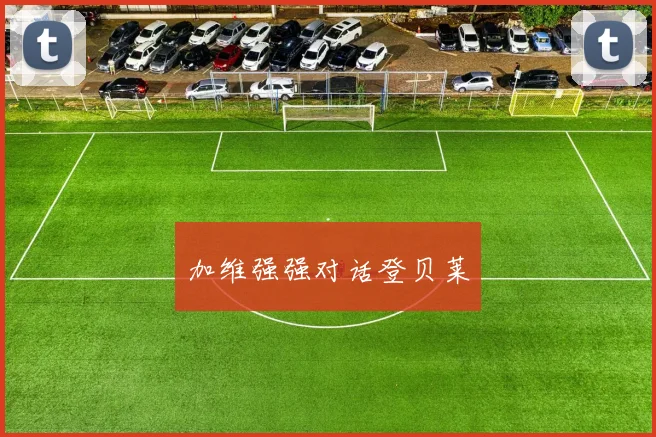 加维强强对话登贝莱