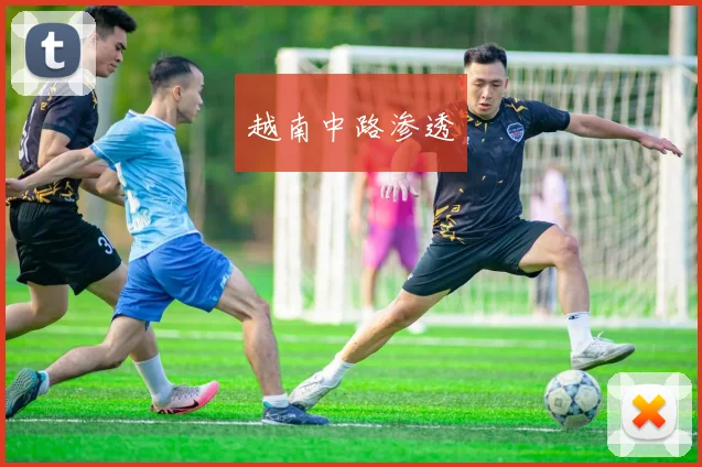 越南中路渗透