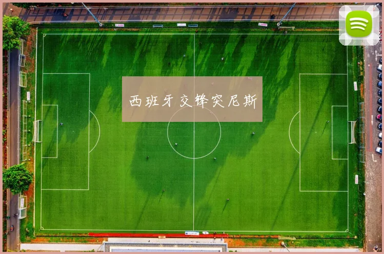 西班牙交锋突尼斯