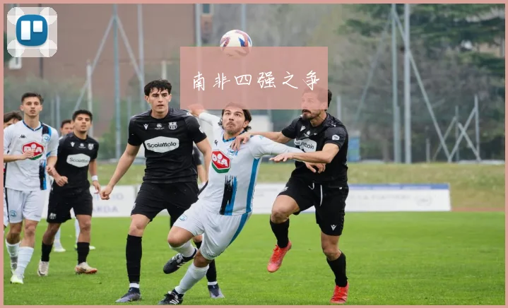 南非四强之争