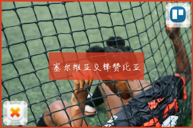 塞尔维亚交锋赞比亚