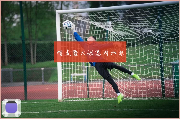 喀麦隆大战塞内加尔