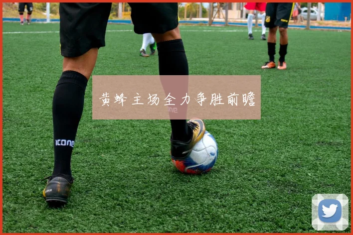 黄蜂主场全力争胜前瞻