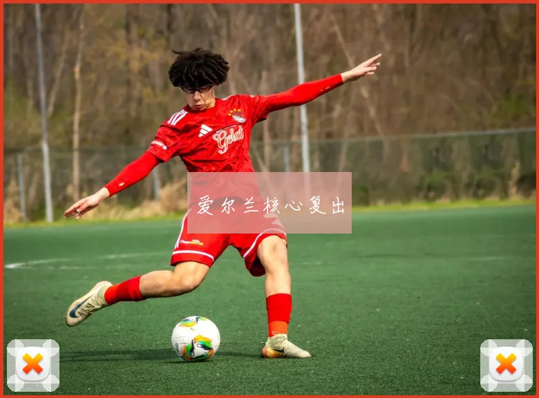 爱尔兰核心复出
