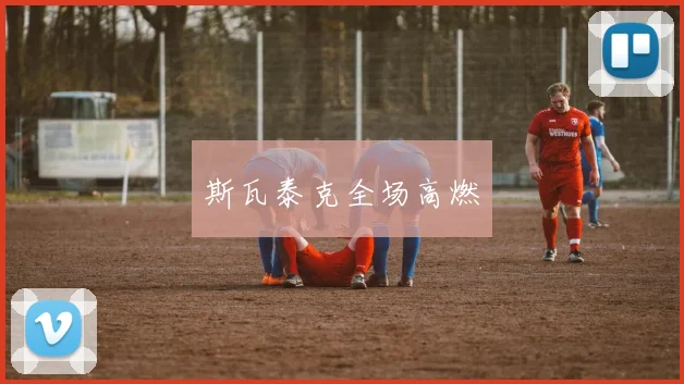 斯瓦泰克全场高燃