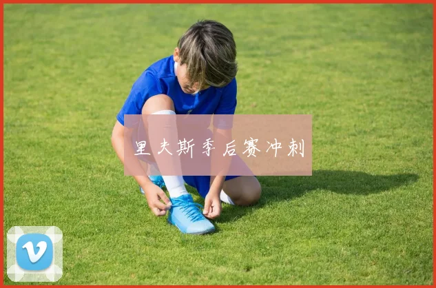 里夫斯季后赛冲刺