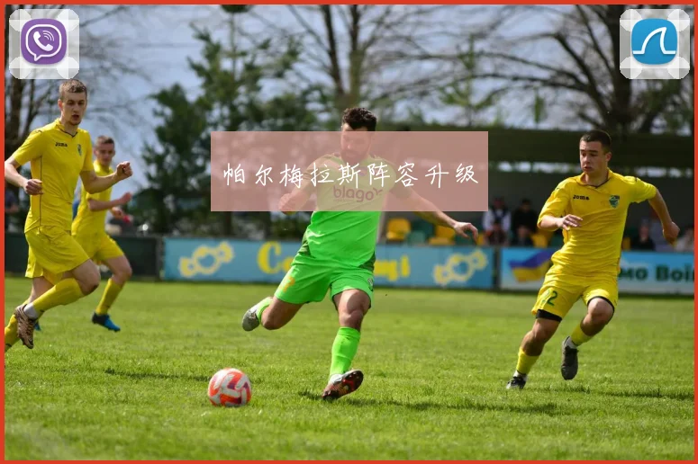 帕尔梅拉斯阵容升级