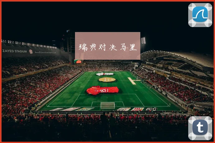 瑞典对决马里