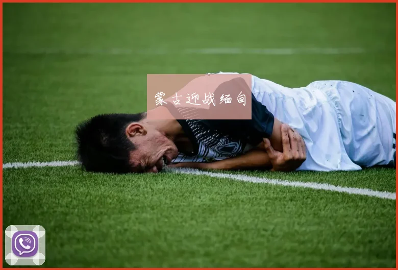 蒙古迎战缅甸