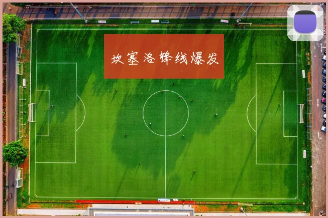 坎塞洛锋线爆发