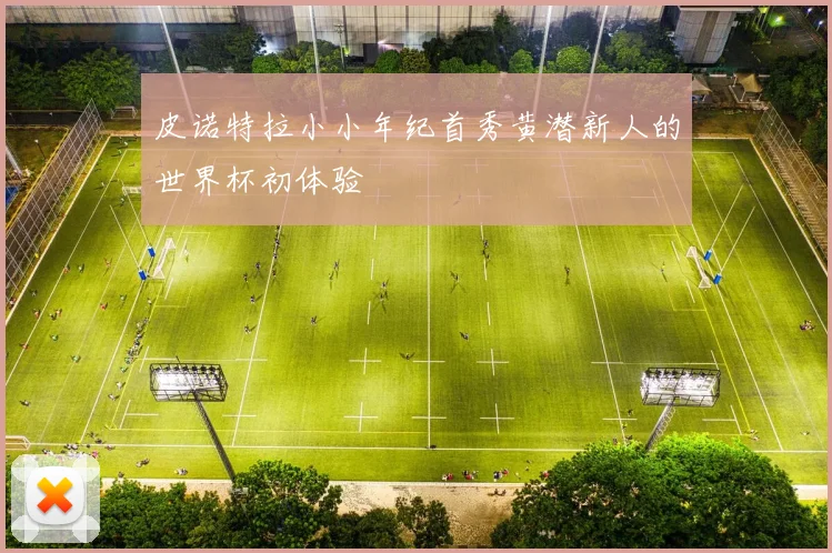 皮诺特拉小小年纪首秀黄潜新人的世界杯初体验