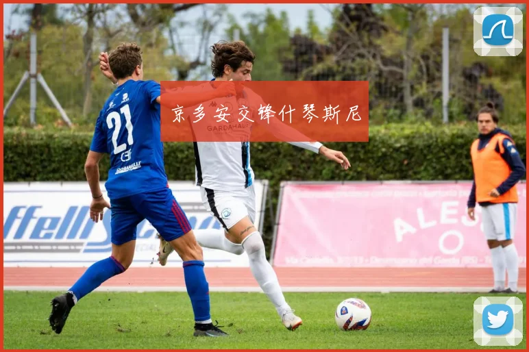 京多安交锋什琴斯尼