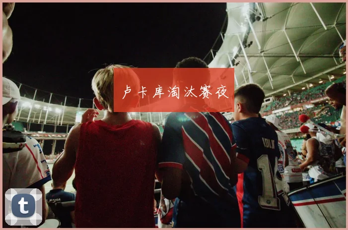 卢卡库淘汰赛夜