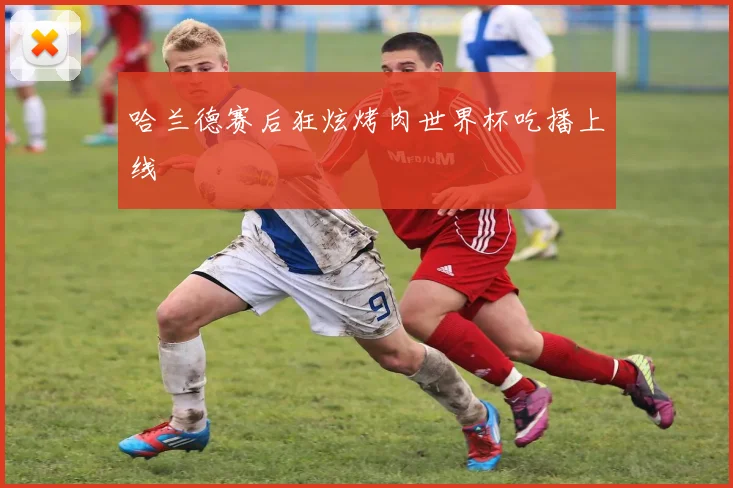 哈兰德赛后狂炫烤肉世界杯吃播上线