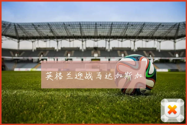 英格兰迎战马达加斯加