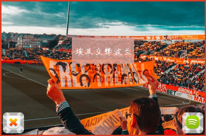 埃及交锋波兰
