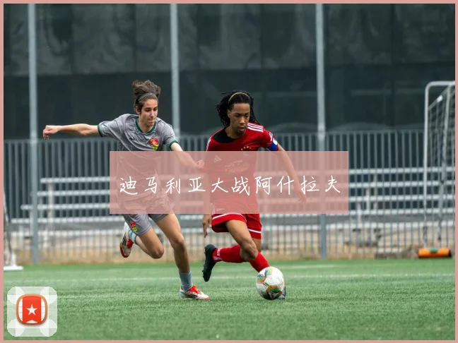 迪马利亚大战阿什拉夫