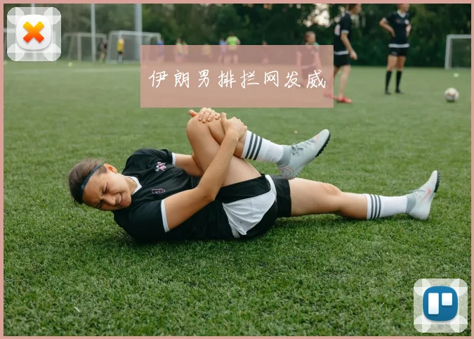伊朗男排拦网发威