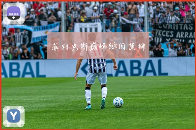 菲利克斯巅峰瞬间集锦