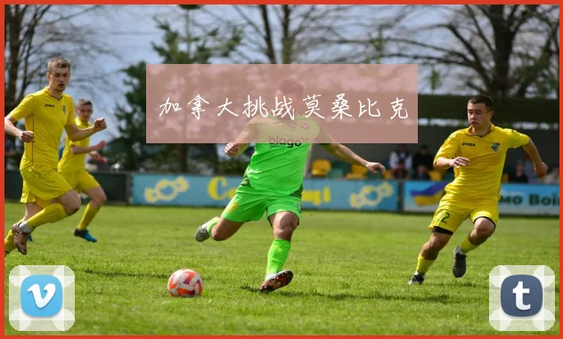 加拿大挑战莫桑比克